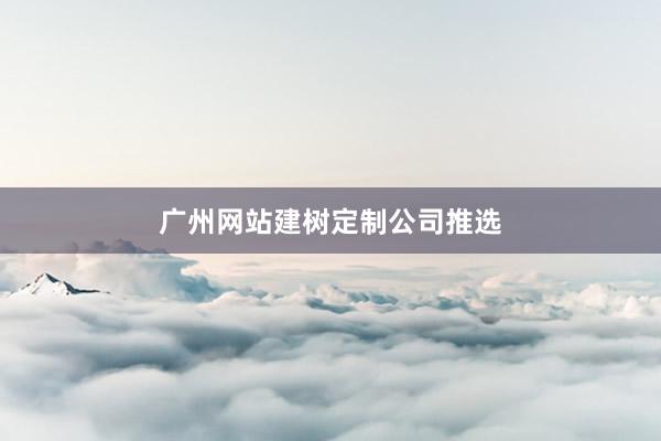 广州网站建树定制公司推选