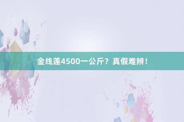 金线莲4500一公斤？真假难辨！