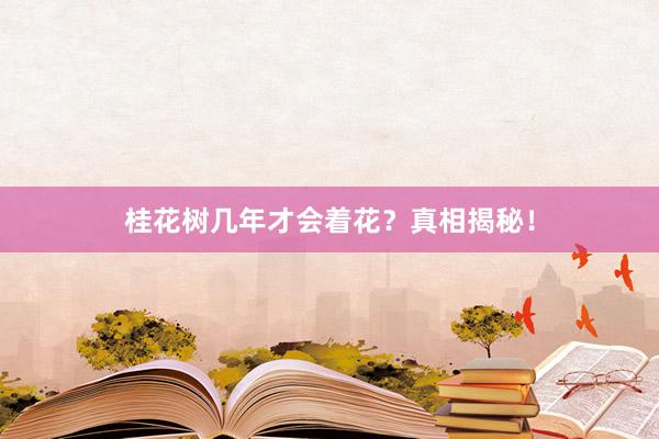 桂花树几年才会着花？真相揭秘！