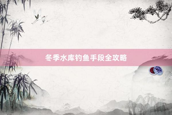 冬季水库钓鱼手段全攻略